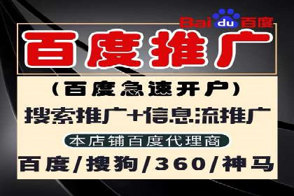 竞价推广公司案例分析：精准投放策略助力企业业绩翻倍